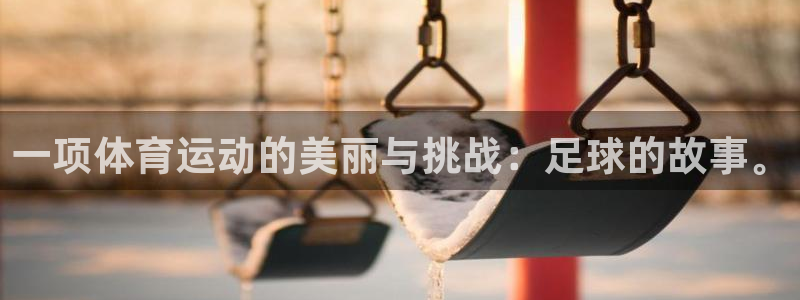 3377体育是正规的吗