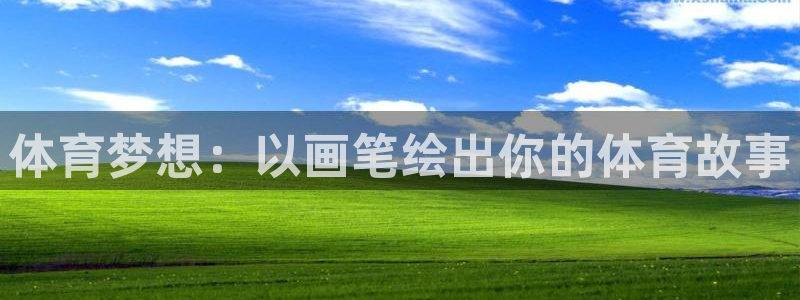 3377体育平台：体育梦想：以画笔绘出你的体育故事