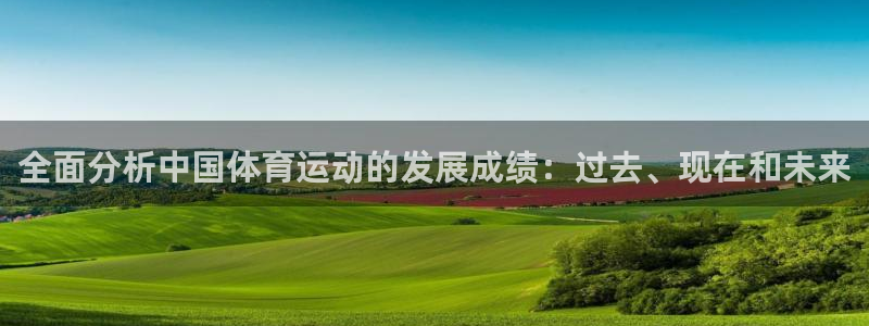 3377体育全网