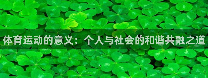 3377体育官网