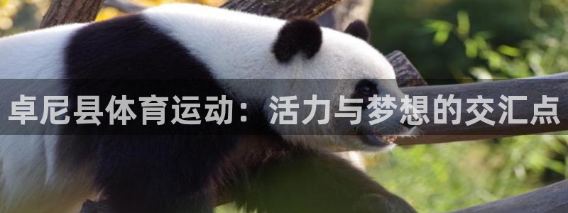 3377体育在线登录官网入口：卓尼县体育运动：活力与梦想的交汇点